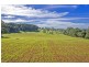 Lots 27, 28 & 9 247 McIndoes Road, Deer Vale, Dorrigo NSW 2453