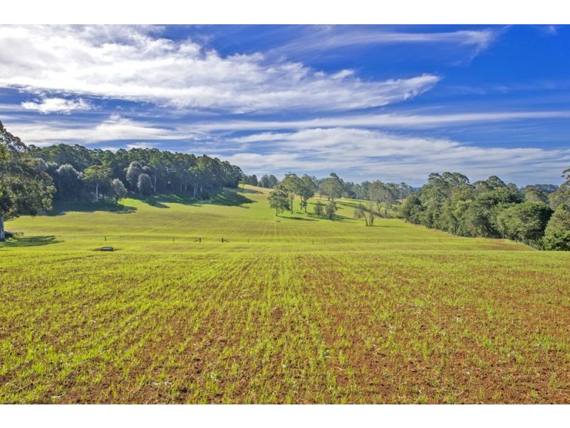 Lots 27, 28 & 9 247 McIndoes Road, Deer Vale, Dorrigo NSW 2453