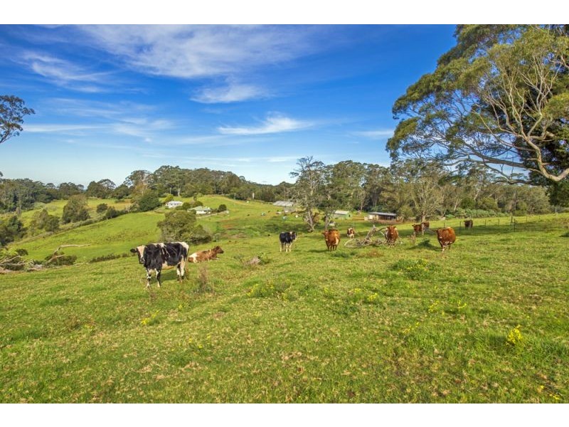 Lots 27, 28 & 9 247 McIndoes Road, Deer Vale, Dorrigo NSW 2453