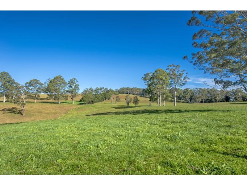 Lots 27, 28 & 9 247 McIndoes Road, Deer Vale, Dorrigo NSW 2453
