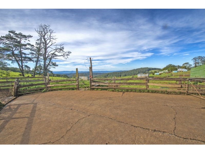 Lots 27, 28 & 9 247 McIndoes Road, Deer Vale, Dorrigo NSW 2453