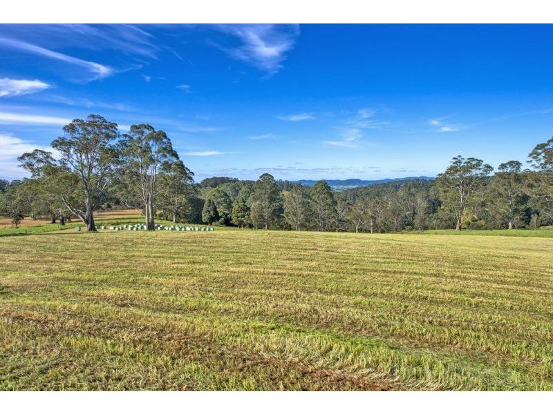Lots 27, 28 & 9 247 McIndoes Road, Deer Vale, Dorrigo NSW 2453