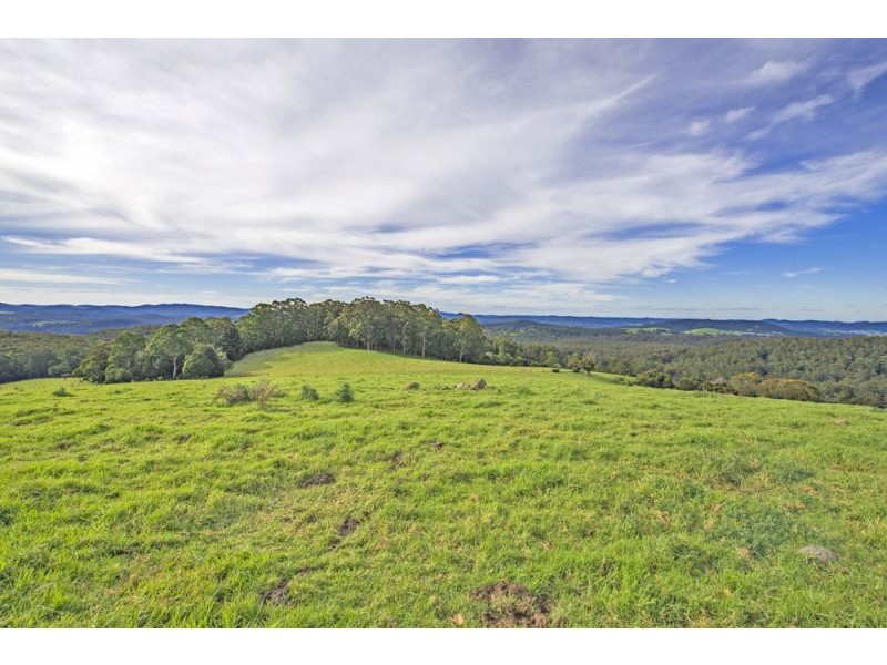Lots 27, 28 & 9 247 McIndoes Road, Deer Vale, Dorrigo NSW 2453