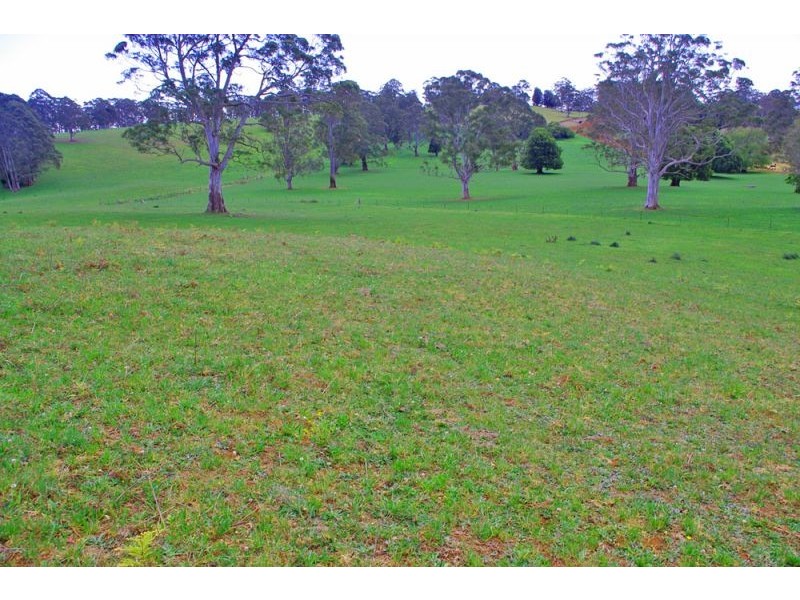 Lots 27, 28 & 9 247 McIndoes Road, Deer Vale, Dorrigo NSW 2453