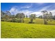 Lot 28, 247 McIndoes Road, Deer Vale, Dorrigo NSW 2453