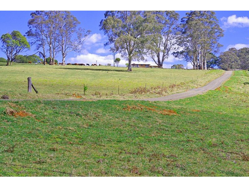 Lot 28, 247 McIndoes Road, Deer Vale, Dorrigo NSW 2453