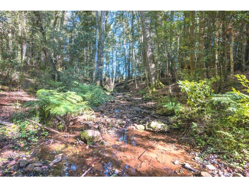 Lot 28, 247 McIndoes Road, Deer Vale, Dorrigo NSW 2453