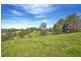 Lot 28, 247 McIndoes Road, Deer Vale, Dorrigo NSW 2453