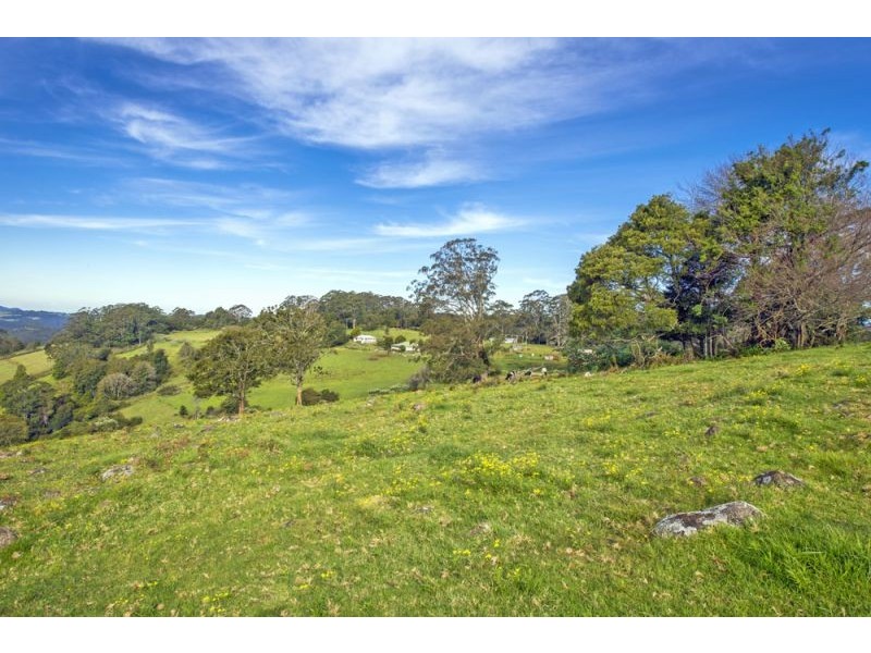 Lot 28, 247 McIndoes Road, Deer Vale, Dorrigo NSW 2453