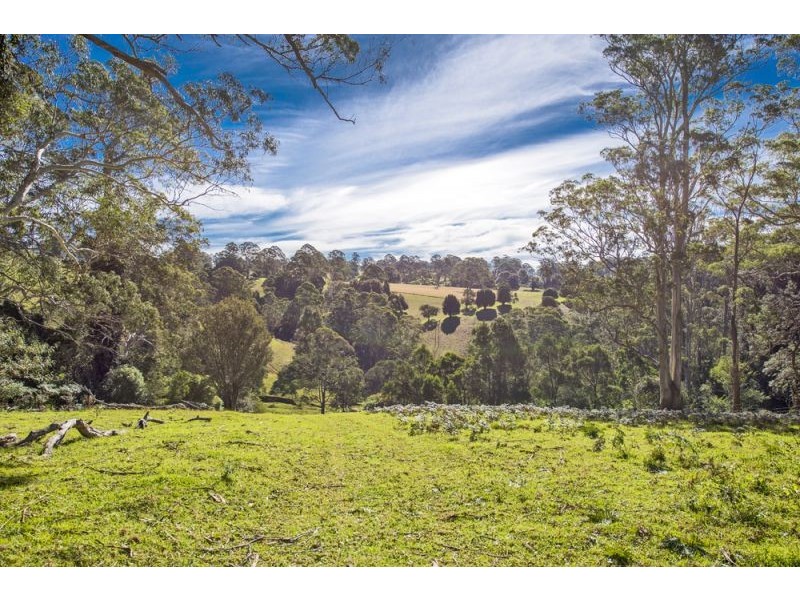 Lot 28, 247 McIndoes Road, Deer Vale, Dorrigo NSW 2453