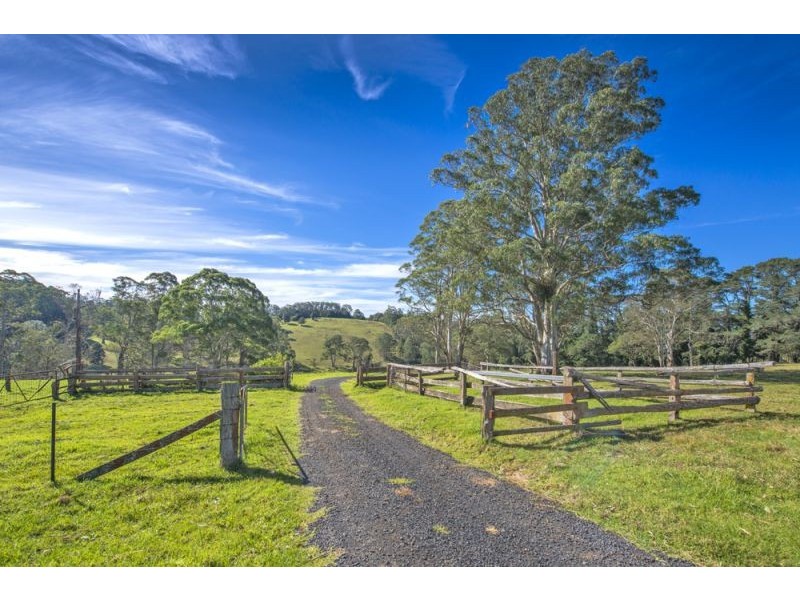 Lot 28, 247 McIndoes Road, Deer Vale, Dorrigo NSW 2453