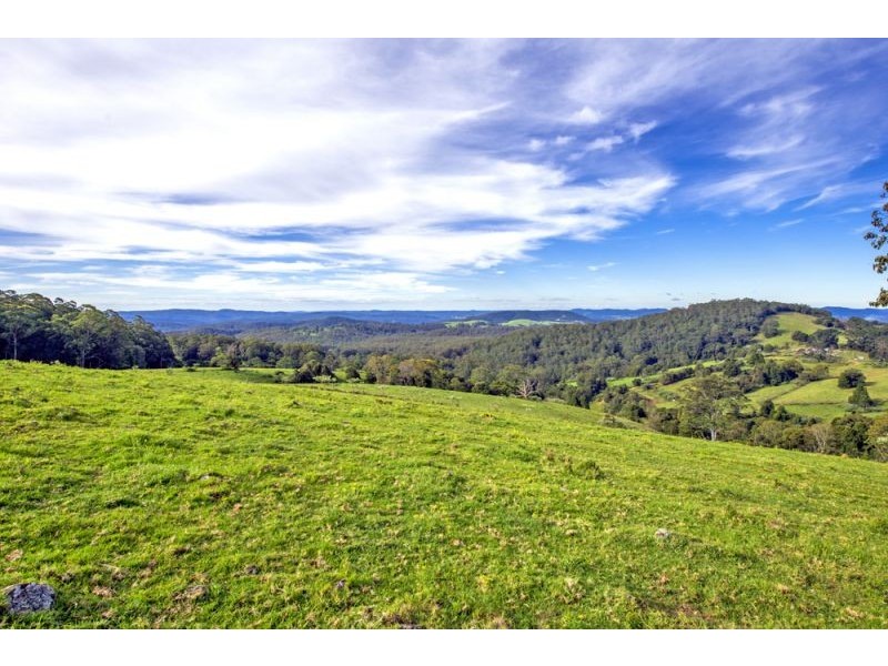 Lot 28, 247 McIndoes Road, Deer Vale, Dorrigo NSW 2453