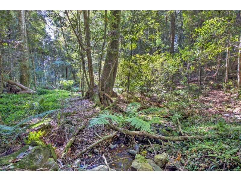 Lot 28, 247 McIndoes Road, Deer Vale, Dorrigo NSW 2453