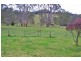 Lot 28, 247 McIndoes Road, Deer Vale, Dorrigo NSW 2453