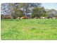 Lots 98, 99 & 100 / 106 Harveys Road, Deer Vale, Dorrigo NSW 2453