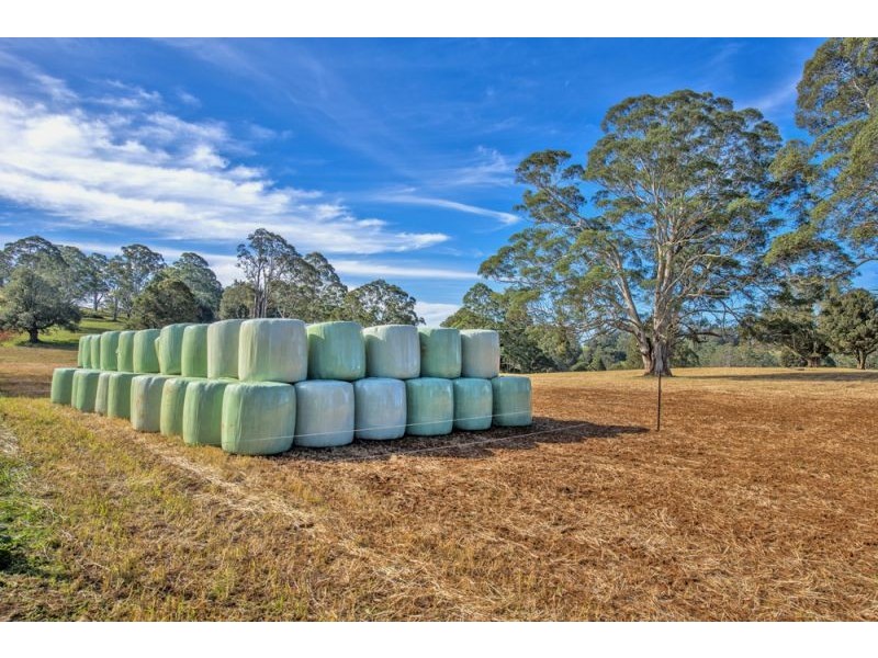 Lots 98, 99 & 100 / 106 Harveys Road, Deer Vale, Dorrigo NSW 2453