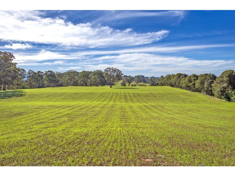 Lots 98, 99 & 100 / 106 Harveys Road, Deer Vale, Dorrigo NSW 2453