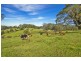 Lots 98, 99 & 100 / 106 Harveys Road, Deer Vale, Dorrigo NSW 2453