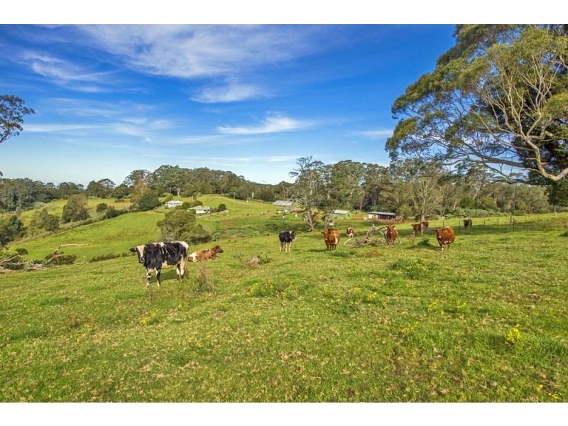 Lots 98, 99 & 100 / 106 Harveys Road, Deer Vale, Dorrigo NSW 2453