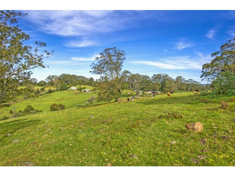 Lots 98, 99 & 100 / 106 Harveys Road, Deer Vale, Dorrigo NSW 2453
