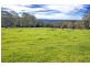Lots 98, 99 & 100 / 106 Harveys Road, Deer Vale, Dorrigo NSW 2453