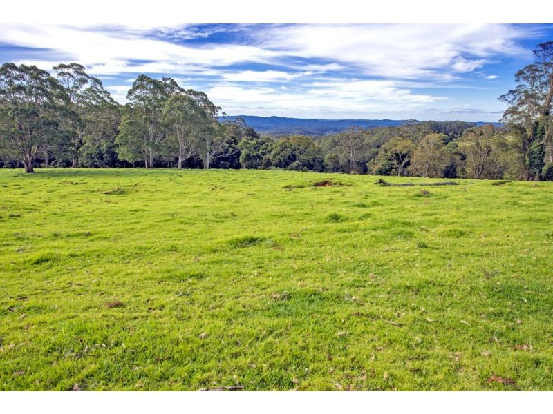 Lots 98, 99 & 100 / 106 Harveys Road, Deer Vale, Dorrigo NSW 2453