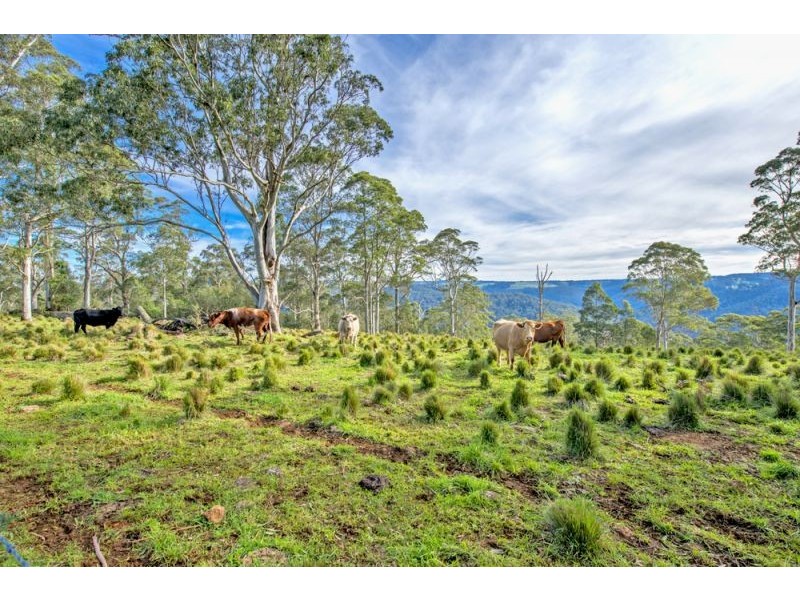 Lots 98, 99 & 100 / 106 Harveys Road, Deer Vale, Dorrigo NSW 2453