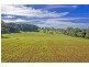 Lots 98, 99 & 100 / 106 Harveys Road, Deer Vale, Dorrigo NSW 2453