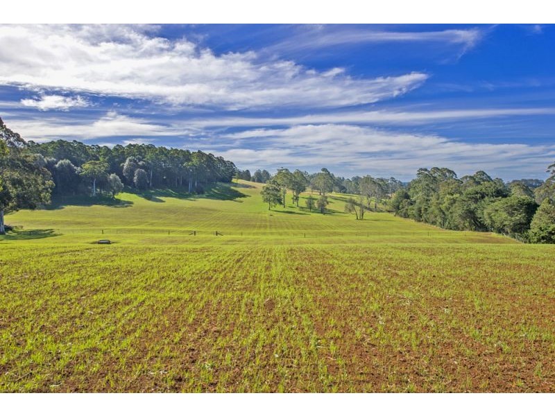 Lots 98, 99 & 100 / 106 Harveys Road, Deer Vale, Dorrigo NSW 2453