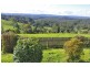 Lots 98, 99 & 100 / 106 Harveys Road, Deer Vale, Dorrigo NSW 2453