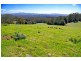 Lots 98, 99 & 100 / 106 Harveys Road, Deer Vale, Dorrigo NSW 2453