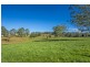 Lots 98, 99 & 100 / 106 Harveys Road, Deer Vale, Dorrigo NSW 2453