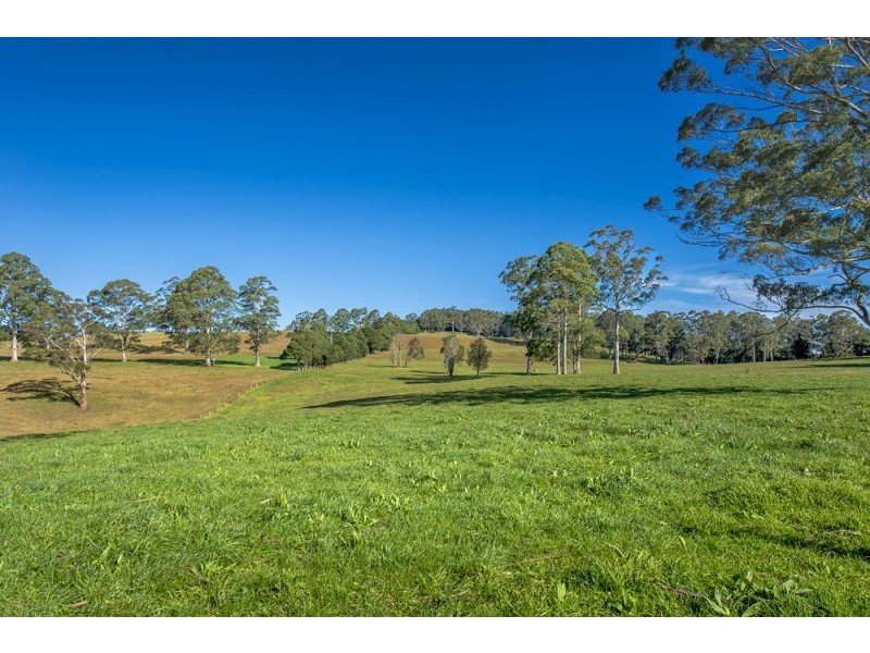 Lots 98, 99 & 100 / 106 Harveys Road, Deer Vale, Dorrigo NSW 2453
