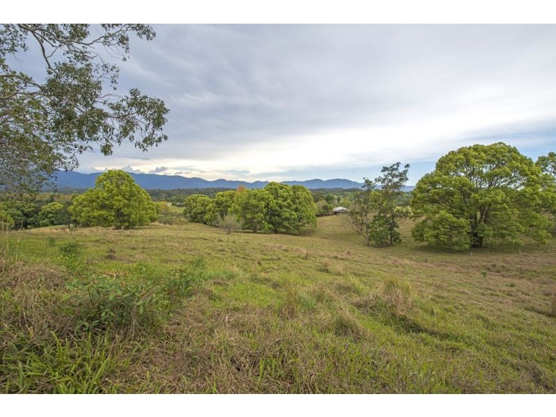 1383 Waterfall Way, Bellingen NSW 2454