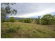 1383 Waterfall Way, Bellingen NSW 2454