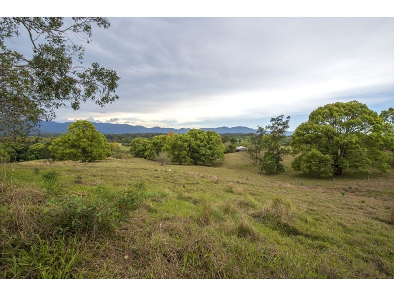 1383 Waterfall Way, Bellingen NSW 2454