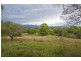 1383 Waterfall Way, Bellingen NSW 2454