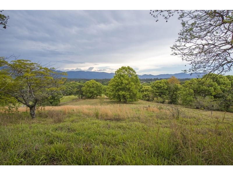 1383 Waterfall Way, Bellingen NSW 2454