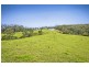 180 Johnsens Road, Dorrigo NSW 2453
