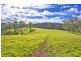 180 Johnsens Road, Dorrigo NSW 2453