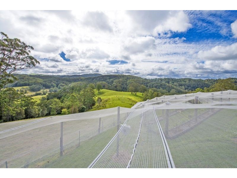 180 Johnsens Road, Dorrigo NSW 2453