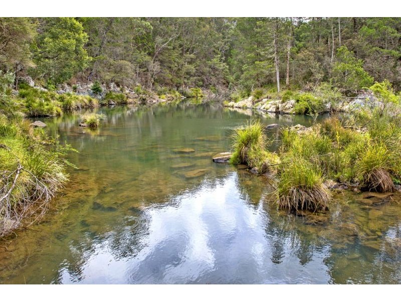 180 Johnsens Road, Dorrigo NSW 2453