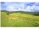 180 Johnsens Road, Dorrigo NSW 2453