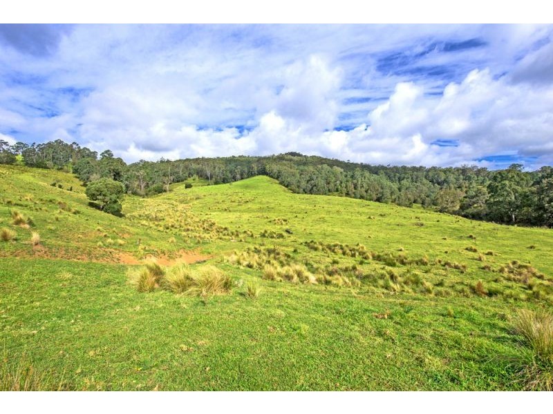 180 Johnsens Road, Dorrigo NSW 2453