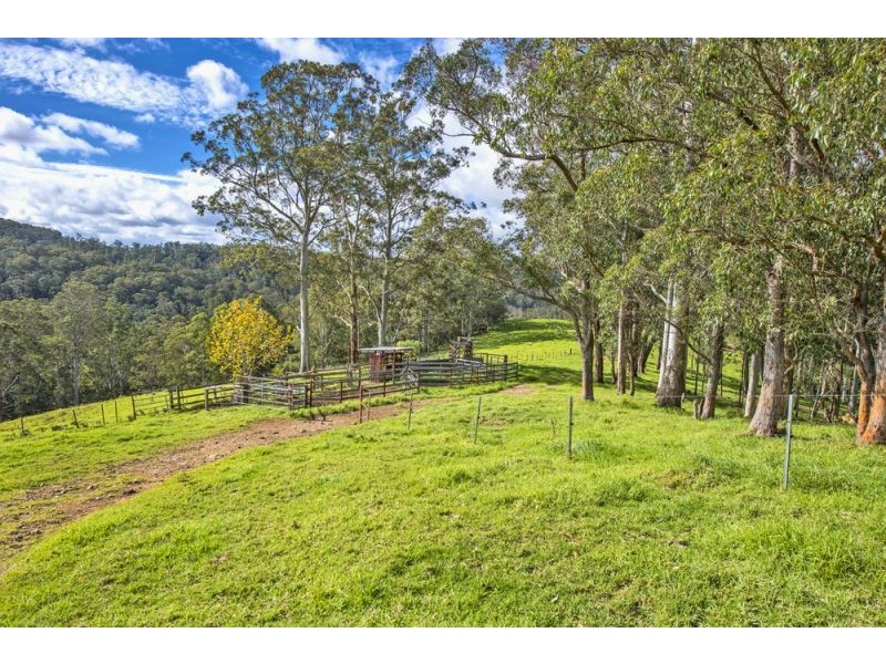 180 Johnsens Road, Dorrigo NSW 2453