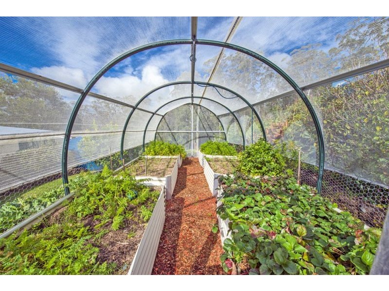 180 Johnsens Road, Dorrigo NSW 2453