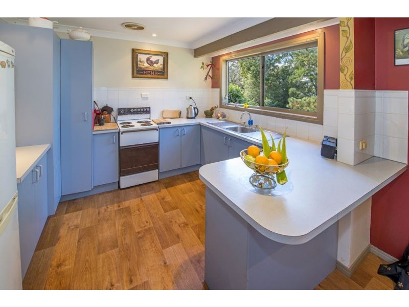 51 Lyon Street, Bellingen NSW 2454