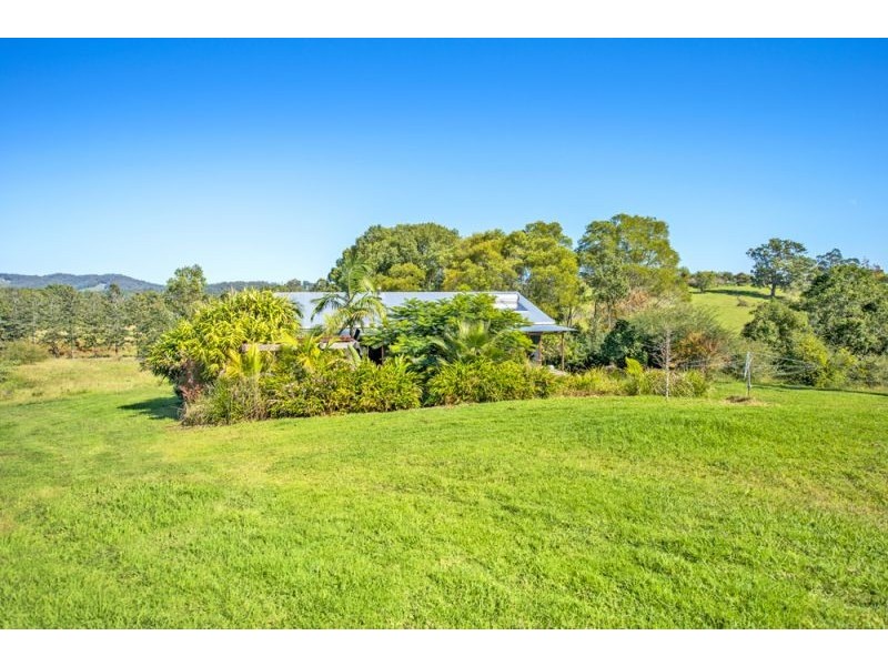 137 North Bank Road, Bellingen NSW 2454