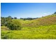 137 North Bank Road, Bellingen NSW 2454