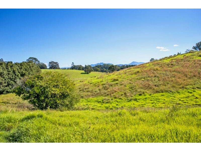 137 North Bank Road, Bellingen NSW 2454